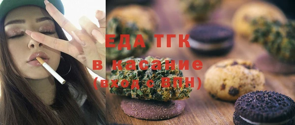 тгк Дегтярск