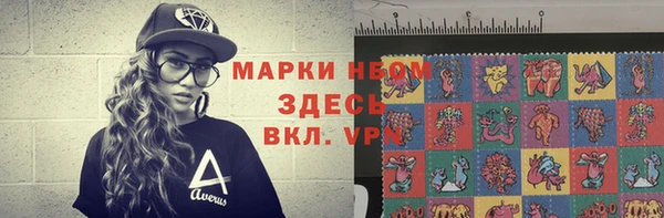 стаф Данков