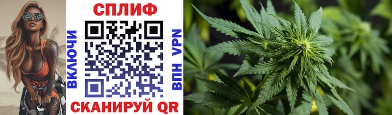 Бошки Шишки LSD WEED  KRAKEN как зайти  Шлиссельбург 